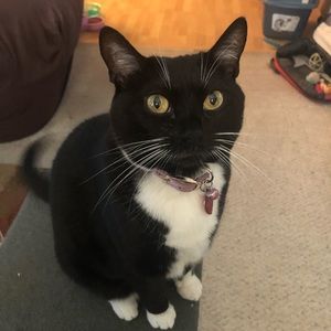 Meet your Posher, Linda